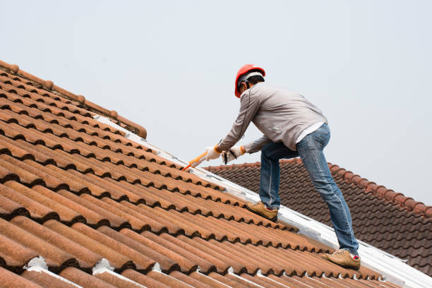 Best Storm Damage Roof Repair  in Marcus, IA